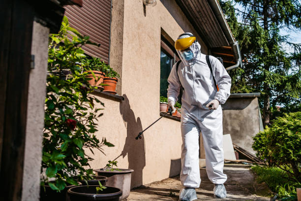 Reliable East Bangor, PA Pest Control Solutions